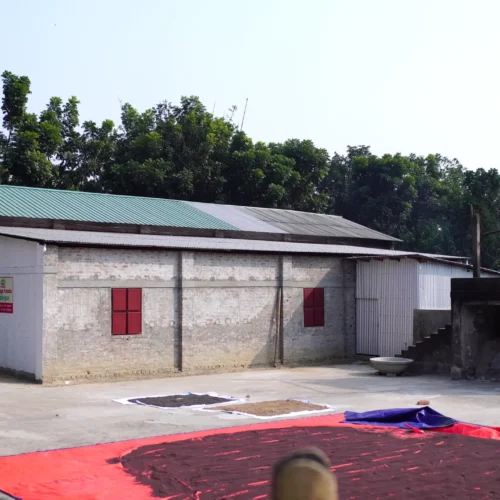 Pabna Factory Image